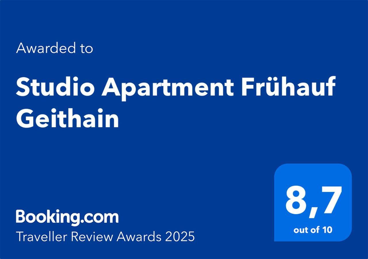 Studio Apartment Fruehauf Geithain Buitenkant foto